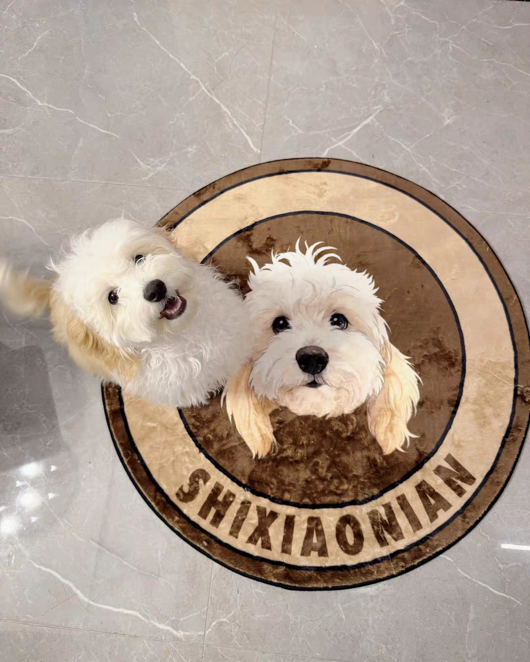 Custom Pet Photo Rug | Personalized Dog Cat Picture Carpet丨Custom pet carpet mats that can be washed - a DIY gift for cats and dogs